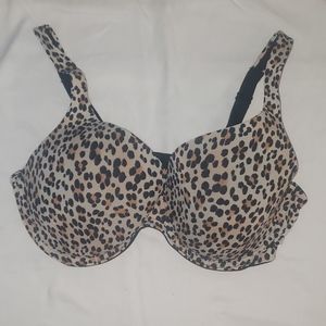 Sexy Dream Fit bra 38 DD
